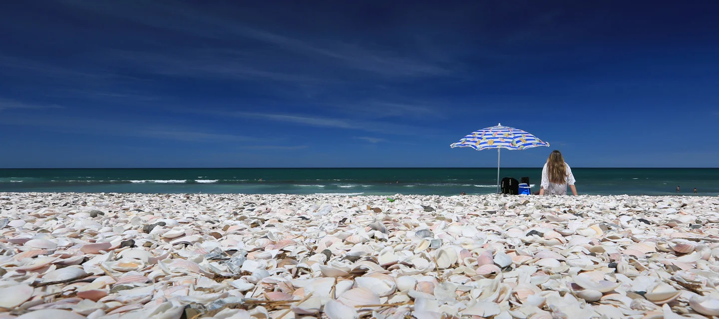 Equipo Desert Tracks